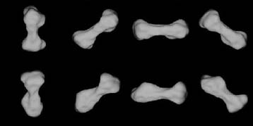 Αστεροειδής με σχήμα κόκαλο σκύλου