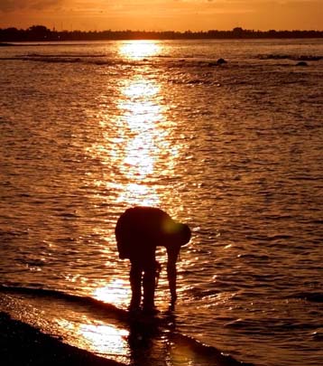 Προχωρώντας ακτή-ακτή αποίκισαν οι πρώτοι πρόγονοι του ανθρώπου την Ασία