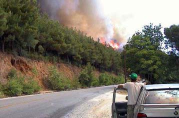 Υπο έλεγχο η πυρκαγιά στο Πήλιο