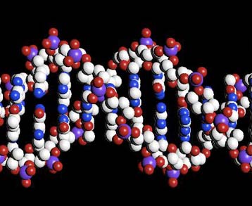 Η χαρτογράφηση του DNA μάς αποκάλυψε το βιβλίο της ζωής