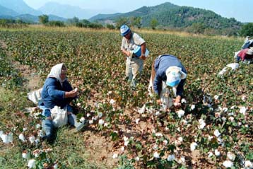 Κατά 211% αυξήθηκαν οι ελληνικές εξαγωγές προς την Τουρκία