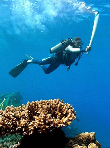 Ασβεστη η Ολυμπιακή φλόγα και κάτω από την επιφάνεια της Θάλασσας