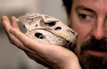 Αρχαίος κροκόδειλος ήταν φυτοφάγος