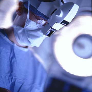 Στα γενετικά μεταλλαγμένα ζώα το μέλλον των μεταμοσχεύσεων