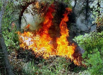 Υπό έλεγχο τα μέτωπα της φωτιάς στα διάφορα σημεία της χώρας