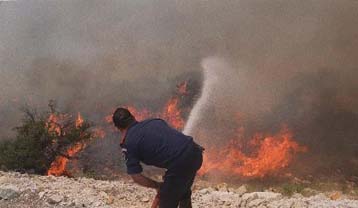 Τεράστιο το μέγεθος των καταστροφών από τις πυρκαγιές στην Κύπρο