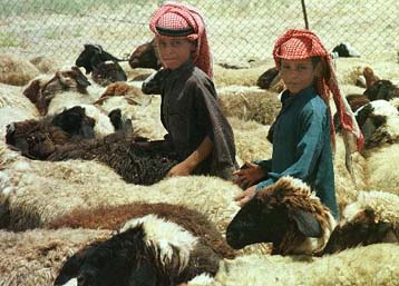 Στο Ιράκ ο θάνατος έρχεται από ψηλά…