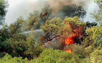 O καύσωνας ξυπνά τον Ξενοκράτη