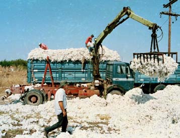 Αυξημένη η εξαγωγική δραστηριότητα της Ελλάδας