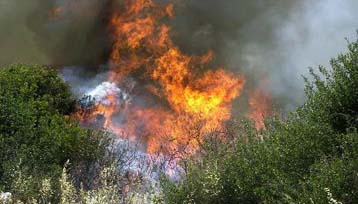 Σε εξέλιξη η φωτιά στον Ταΰγετο- Τραυματίστηκε δασοπυροσβέστης