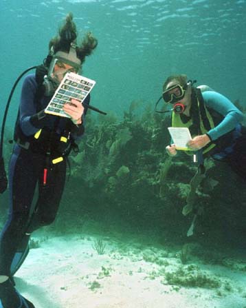 Οι ΗΠΑ σχεδιάζουν τρεις νέες αποστολές μελέτης του υποθαλάσσιου χώρου τους