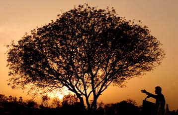 Απαισιόδοξα σενάρια για τις κλιματολογικές αλλαγές στις ΗΠΑ τον 21ο αιώνα