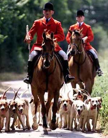 Αντιδράσεις στη Βρετανία προκαλεί ενδεχόμενη απαγόρευση του κυνηγιού της αλεπούς