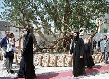 Η Αίγυπτος τιμά τα 2000 χρόνια από τη φυγάδευση του Χριστού στη χώρα