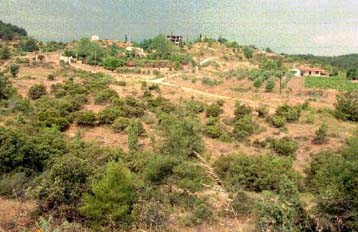 Πράσινο φως στην εξαγορά καταπατημένων εκτάσεων του Δημοσίου δίνει το ΥΠΕΘΟ