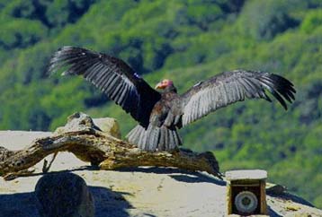 Εκδηλώσεις στον Εθνικό Κήπο για την Παγκόσμια Ημέρα Περιβάλλοντος