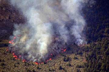 Απειλείται από πυρκαγιά το δάσος των σεκόγια στην Καλιφόρνια