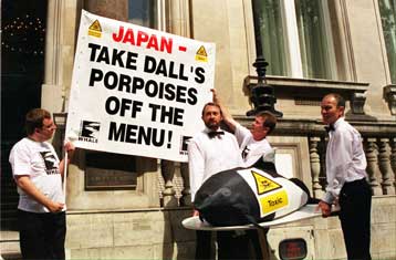 Η Ιαπωνία συνεχίζει το κυνήγι φαλαινών παρά τη διεθνή κριτική