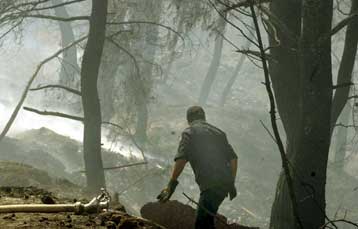 Νέα πυρκαγιά στον Κάλαμο – Τρεις ύποπτοι σε δίκη για τη χθεσινή φωτιά