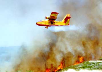 Η ΕΥΠ αναλαμβάνει τις έρευνες για τα αίτια των πυρκαγιών