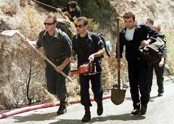 Το ΣτΕ δικαιώνει τους δασικούς για το επίδομα αυξημένης ευθύνης