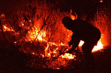 Πυρκαγιά εκδηλώθηκε κοντά στο Κιλκίς την Τετάρτη