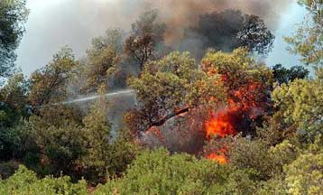 Υπό έλεγχο η πυρκαγιά κοντά στην Καρυά Ολύμπου