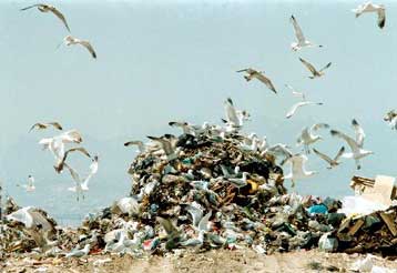 Νέα προσφυγή της Ευρωπαϊκής Επιτροπής κατά της Ελλάδας για το περιβάλλον