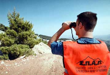 Το ΣτΕ απέρριψε σχέδιο προεδρικού διατάγματος για τον αναδασμό στην Πεντέλη