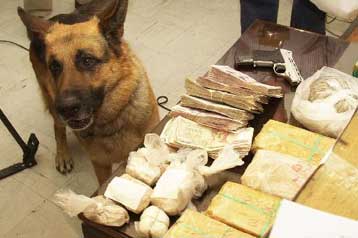 Ελληνοαμερικανική αστυνομική συνεργασία για την καταπολέμηση των ναρκωτικών