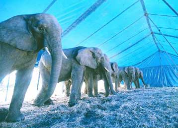 Σημαντικά ευρήματα αναδεικνύουν την προϊστορία του Σιδηροκάστρου Σερρών