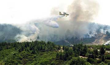 Στις φλόγες οι Καρυές της Λακωνίας