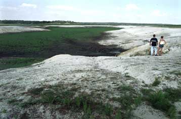 Βακτηρίδιο-μαθουσάλας ηλικίας… 260 εκατομμυρίων ετών