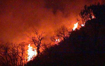 Υποχωρούν τα μέτωπα των πυρκαγιών – Η κυβέρνηση δεν αποκλείει το ενδεχόμενο εμπρησμού