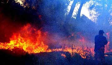 Σε εξέλιξη οι πυρκαγιές σε Κιάτο, Αίγιο, Φθιώτιδα – Στη Σάμο ο πρωθυπουργός την Παρασκευή