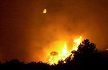 Αναζωπυρώσεις των πυρκαγιών σε Σάμο και Φθιώτιδα – Σε πύρινο κλοιό κατοικημένες περιοχές