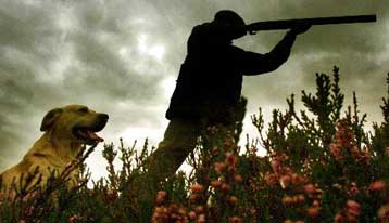 Προειδοποίηση της Κομισιόν για παράβαση του κοινοτικού νόμου περί κυνηγιού