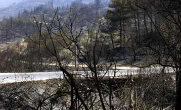 Ανησυχίες για αναζωπύρωση των πυρκαγιών και φυγή των τουριστών από τη Σάμο