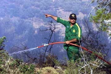 Στον εισαγγελέα τέσσερα άτομα για την πυρκαγιά στο Γραμματικό Αττικής
