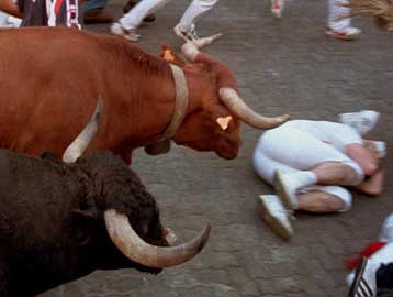 Αλλοι σαράντα τραυματίες στο πλαίσιο των ταυροκαθαψίων