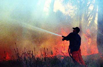 Σε πύρινο κλοιό η Ελλάδα – Παραδομένη στις φλόγες η Σάμος