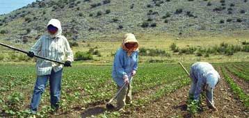 Τριάντα δισ. δραχμές θα επιστρέψει η Ελλάδα στο Ευρωπαϊκό Γεωργικό Ταμείο