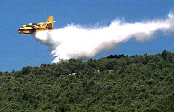 Πυρκαγιά στην Πάρνηθα