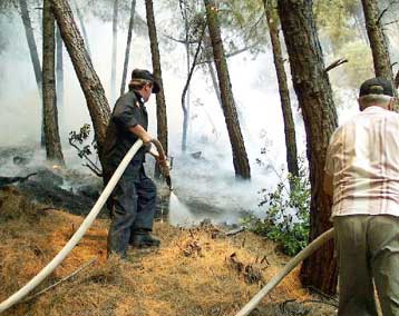 Υπό έλεγχο οι πυρκαγιές στη Σέριφο και την Τρίπολη