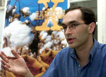 Αμεση καταστροφή των επιμολυσμένων καλλιεργειών βαμβακιού ζητά η Greenpeace