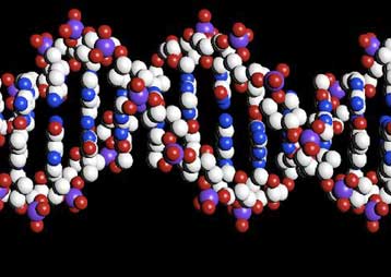 Βρετανική έρευνα για τα ηθικά διλήμματα της χαρτογράφησης του DNA