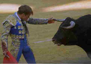 Οι ταυρομαχίες διχάζουν μία πόλη στην Πορτογαλία