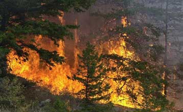 Στη βελτίωση των καιρικών συνθηκών ελπίζουν τώρα οι πυροσβέστες στις ΗΠΑ