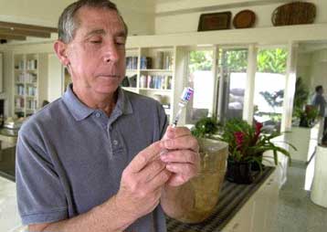 Επιστήμονες αναπτύσσουν εμβόλιο κατά του καρκίνου, που βασίζεται στην τελομεράση