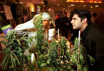 Προτεραιότητα της ΕΕ η πρόληψη της τοξικομανίας στα παιδιά και τους νέους